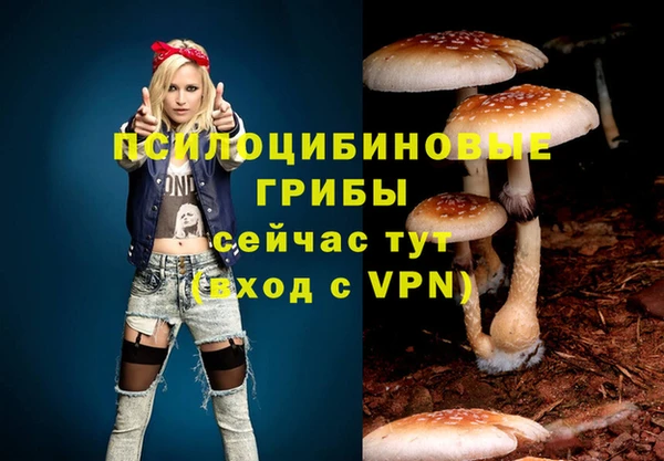 спайс Аркадак