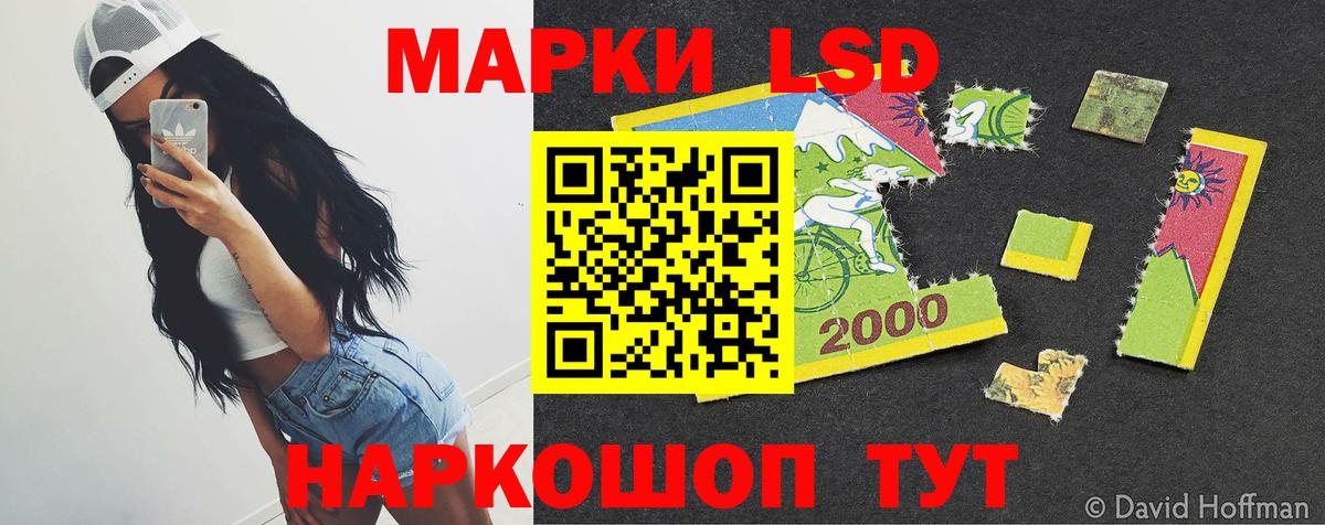 ЛСД экстази кислота  LSD-25 экстази кислота  Новодвинск  Вход с VPN 