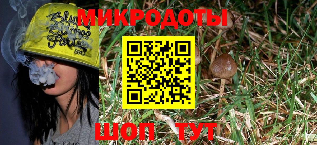 Псилоцибиновые грибы Magic Shrooms  Галлюциногенные грибы Psilocybe  Вход с VPN  Новодвинск 