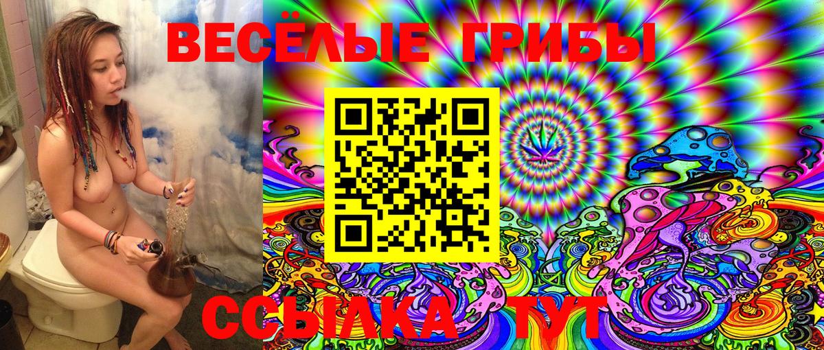 Псилоцибиновые грибы Psilocybe Новодвинск